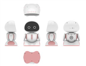 智能小型機器人銷售與服務(wù)咨詢，錢元供應(yīng)，計算機網(wǎng)絡(luò)工程施工與設(shè)計